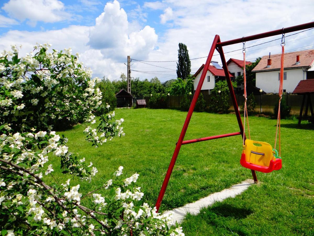 Pensiunea Lacul Albesti Albestii Paminteni Exterior photo